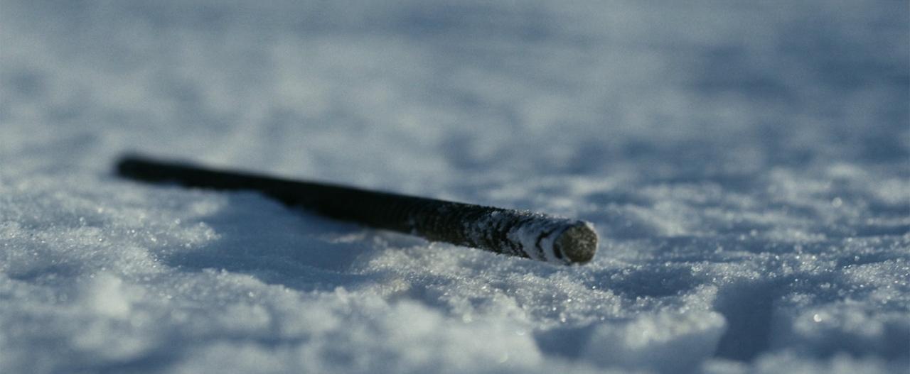 «Лимонов. Баллада»